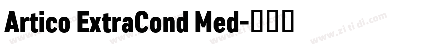 Artico ExtraCond Med字体转换